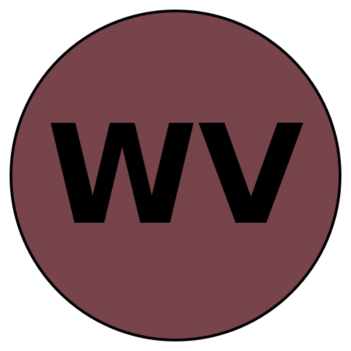 WiseVoyage